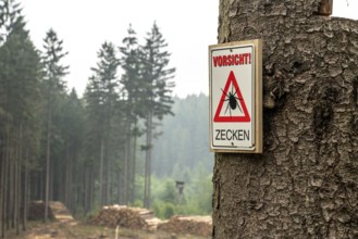 Warning sign for ticks, in the Arnsberg Forest, near Hirschberg, Sauerland, North Rhine-Westphalia,