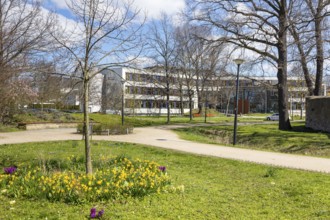 Spring in the town park, in the background the town hall, Coswig, Saxony, Germany, Europe