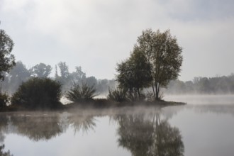 Kressler fishing pond in the morning mist, Arnstadt, Thuringia, Germany, Europe