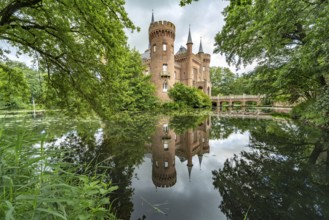 Schloss Moyland moated castle, Bedburg-Hau, Kleve district, North Rhine-Westphalia, Germany, Europe