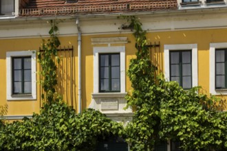 Listed Wieck House in Loschwitz, Friedrich-Wieck-Straße 10, Dresden Loschwitz, Dresden, Saxony,