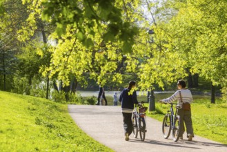 Zwingerteich, an idyll in the city centre, Dresden, Saxony, Germany, Europe