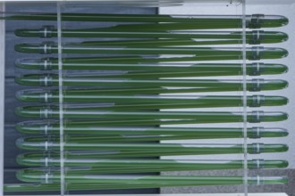 PUEVIT GmbH produces the most efficient photobioreactors for the cultivation of microalgae. The aim