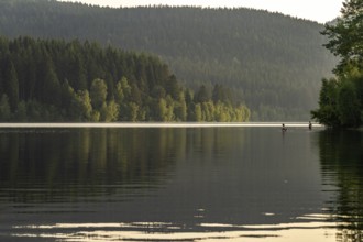 Schluchsee reservoir, Black Forest, Baden-Württemberg, Germany, Europe