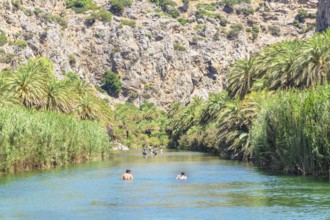 View of Megalopotamos river and Preveli palm forest, Rethymno, Crete, Greek Islands, Greece, Europe