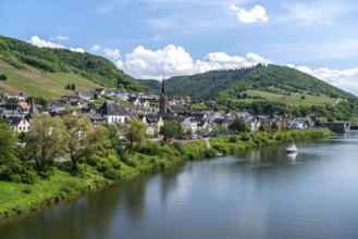 The wine village of Neef on the Moselle, Cochem-Zell, Rhineland-Palatinate, Germany, Europe