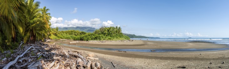 Sandy beach beach with palm trees by the sea, Playa Uvita, Pacific coast, Parque Nacional Marino