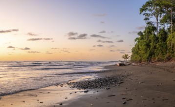 Coastal landscape at sunset, sandy beach with sea and rainforest, Corcovado National Park, Osa,