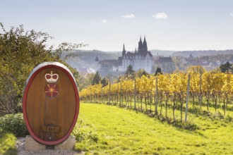 Viewpoint over the Proschwitz vineyards to Albrechtsburg Castle and Meissen Cathedral, Saxony,