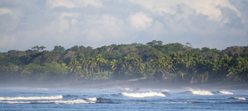 Coastal landscape, sea and sandy beach with rainforest, Corcovado National Park, Osa Peninsula,