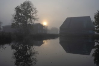 Morning sun over the estate pond on a foggy morning at Gut Othenstorf, Othenstorf near Rehna,