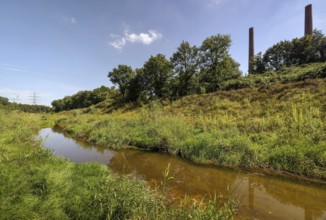 Bottrop, North Rhine-Westphalia, Germany, Renaturalised Boye, the tributary of the Emscher, was