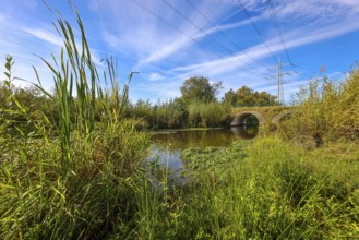 Bottrop-Gladbeck, North Rhine-Westphalia, Germany, Renaturalised Boye, the tributary of the