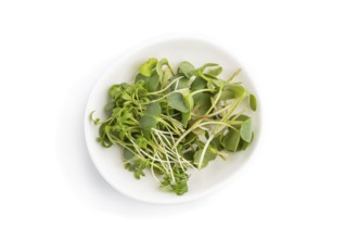 Ceramic plate with microgreen sprouts of radish and cress isolated on white background. Top view,