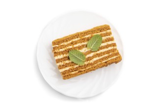 Homemade honey cake with milk cream and mint isolated on white background. Top view, close up, flat