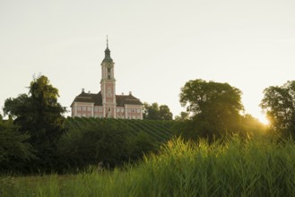 Birnau pilgrimage church and vineyards, sunrise, Uhldingen-Mühlhofen, Lake Constance,