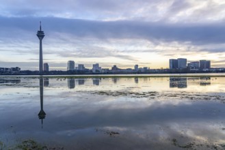 View over the Rhine near Düsseldorf, Media Harbour, from the Rhine meadows in