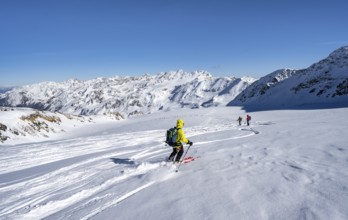 Ski tourers descending from the summit of Monte Cevedale on the Zufallferner, mountain panorama,