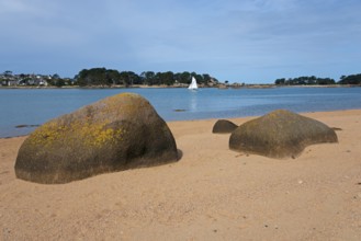 Beach with large rocks and a sailing boat in the background, Baie de Sainte-Anne, Trégastel,