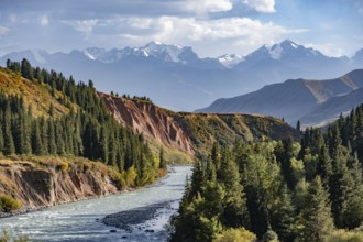 Naryn River and mountain panorama in autumn, at the confluence of the Kichi-Naryn and Chong-Naryn,