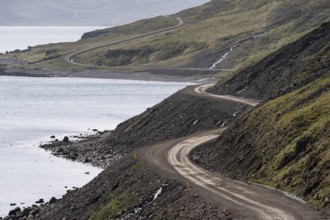 Gravel road, coast, Reykjarfjörður, Strandir, Árnes, Westfjords, Iceland, Europe