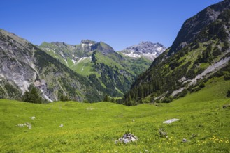 Schneck, 2268m and Großer Wilder, 2379m, Hochvogelgruppe and Rosszahngruppe, Allgäu Alps, Allgäu,