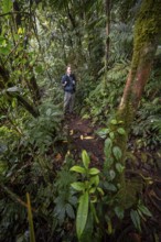 Young man, tourist on a narrow hiking trail between dense vegetation in the tropical rainforest,