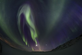 Green northern lights, aurora borealis over snowy mountains, volcanic, winter, moon, fisheye shot,