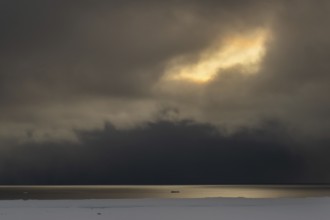 Snowy winter landscape, dramatic light mood, low clouds, Murchisonfjord, Nordaustland, Svalbard and