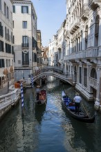 Gondoliers on Venetian gondolas on the Rio di Palazzo canal, Venice, Veneto, Italy, Europe