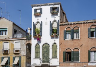 Venetian-style house facades, Venice, Veneto, Italy, Europe