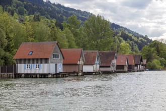 Boathouses in Bühl, Großer Alpsee, near Immenstadt, Oberallgäu, Allgäu, Bavaria, Germany, Europe