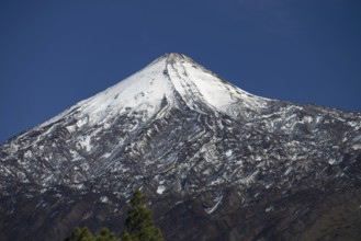 El Teide National Park, behind it the Pico del Teide, 3715m, World Heritage Site, Tenerife, Canary