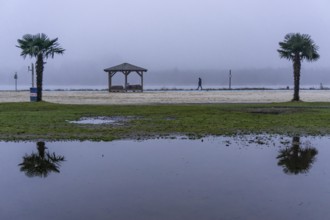 The Seaside Beach, at the Lake Baldeney in Essen, dull, very foggy January day, palm trees are