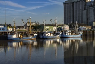 Cutter in the harbour in Husum, Nordfriesland district, Schleswig-Holstein, Germany, Europe