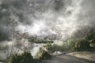 Dampf, der aus den heißen Quellen mit geothermischer Aktivität im Maori-Dorf Te Whakarewarewa,