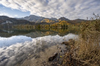 On the shore of Lake Lake Kochel with reflection, autumn landscape with mountain peaks Herzogstand