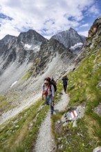 Mountaineer on a hiking trail, mountain landscape, ascent to Col de Riedmatten, behind summit Mont