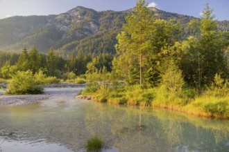 Isar valley nature conservancy area. The wild Isar river flows through its gravel bed past