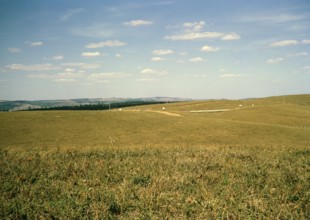 Fields for cattle breeding, Fazenda Sant' Anna, Campinas, Brazil, South America 1962, South America