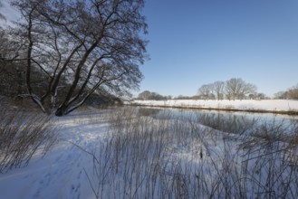 Dorsten, North Rhine-Westphalia, Germany - Sunny winter landscape in the Ruhr area, ice and snow on