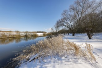 Dorsten, North Rhine-Westphalia, Germany - Sunny winter landscape in the Ruhr area, ice and snow on