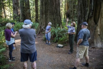 Crescent City, California - A National Park Service ranger leads visitors on a hike among the