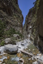 Hiking trail through the Samaria Gorge, south coast, Crete, Greece, Europe