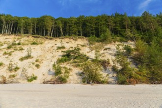 Cliffs of the Wolin National Park. Beach at sunset, close to Miedzyzdroje (Misdroy), a village in