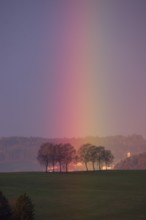 Rainbow touches a group of trees, Mühlviertel, Austria, Europe