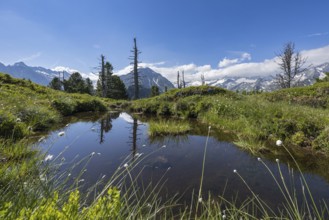 Mountain lake surrounded by green hills and mountains under a clear sky, Neukirchen am