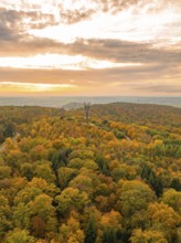 The observation tower towers above an autumn-coloured forest in the warm light of the sunset,