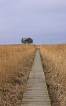 Footbridge, Dollart, Kiekkaaste observation point, Nieuwe Statenzijl, Netherlands