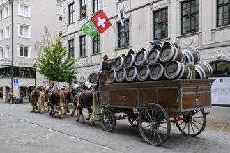 Feldschlösschen brewery horses, St. Gallen, Switzerland, Europe